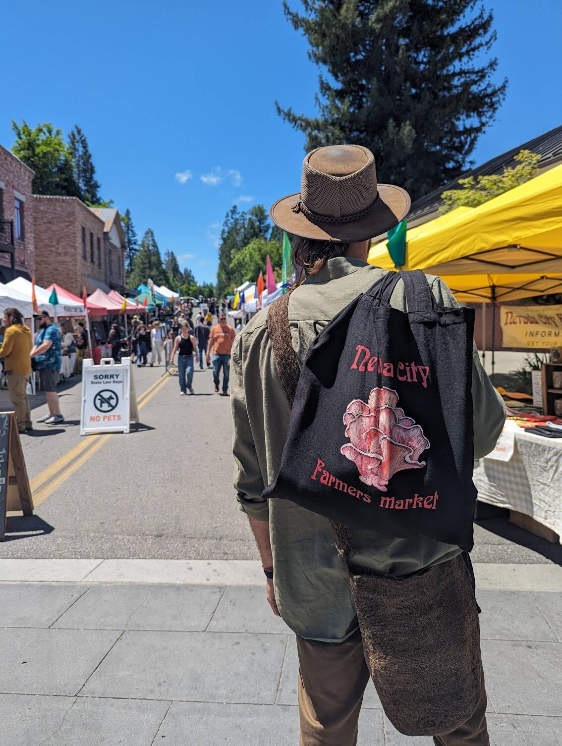 Farmers Market Nevada City
